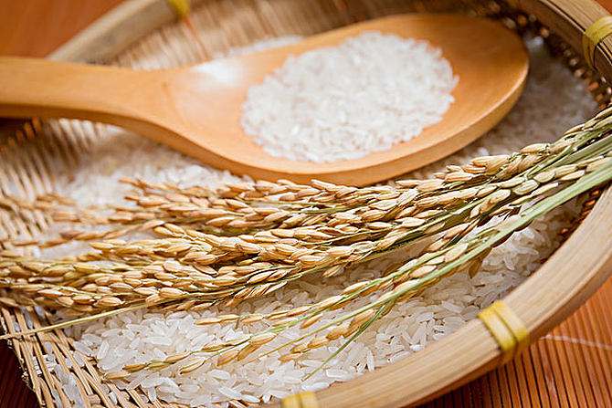 安徽粮食价格上扬 稻谷走出低迷状态